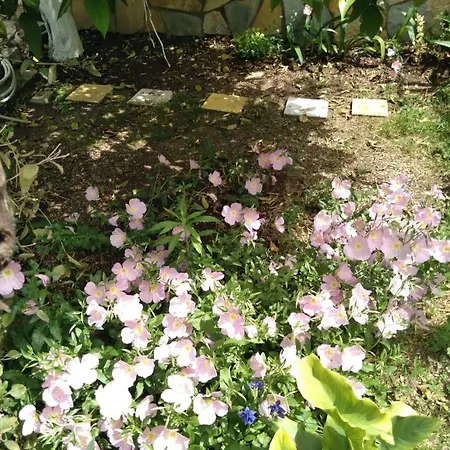 Sara Guest house Berat